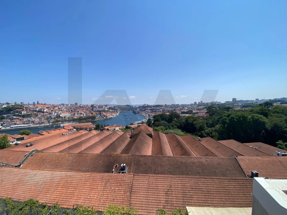 Apartamento T1 para Arrendamento em Santa Marinha e São Pedro da Afurada Foto 3