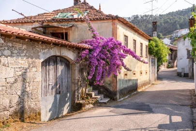 Moradia T3 para Venda em Friúmes e Paradela
