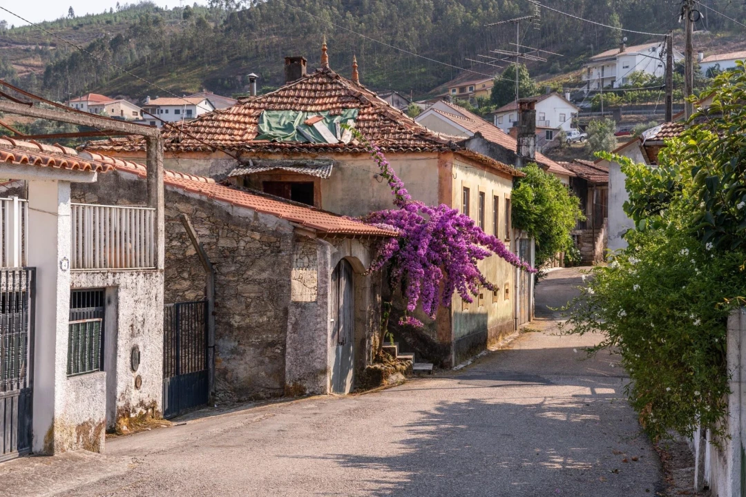 Moradia T3 para Venda em Friúmes e Paradela Foto 3