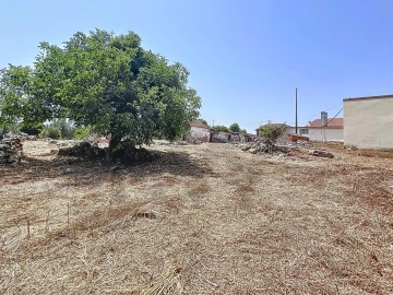 Terreno para Venda em Evora de Alcobaça