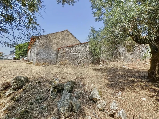 Terreno para Venda em Evora de Alcobaça Foto 13