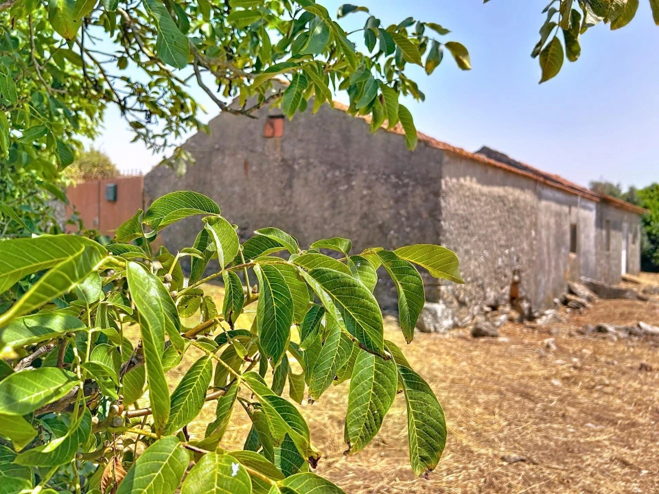 Terreno para Venda em Evora de Alcobaça Foto 21