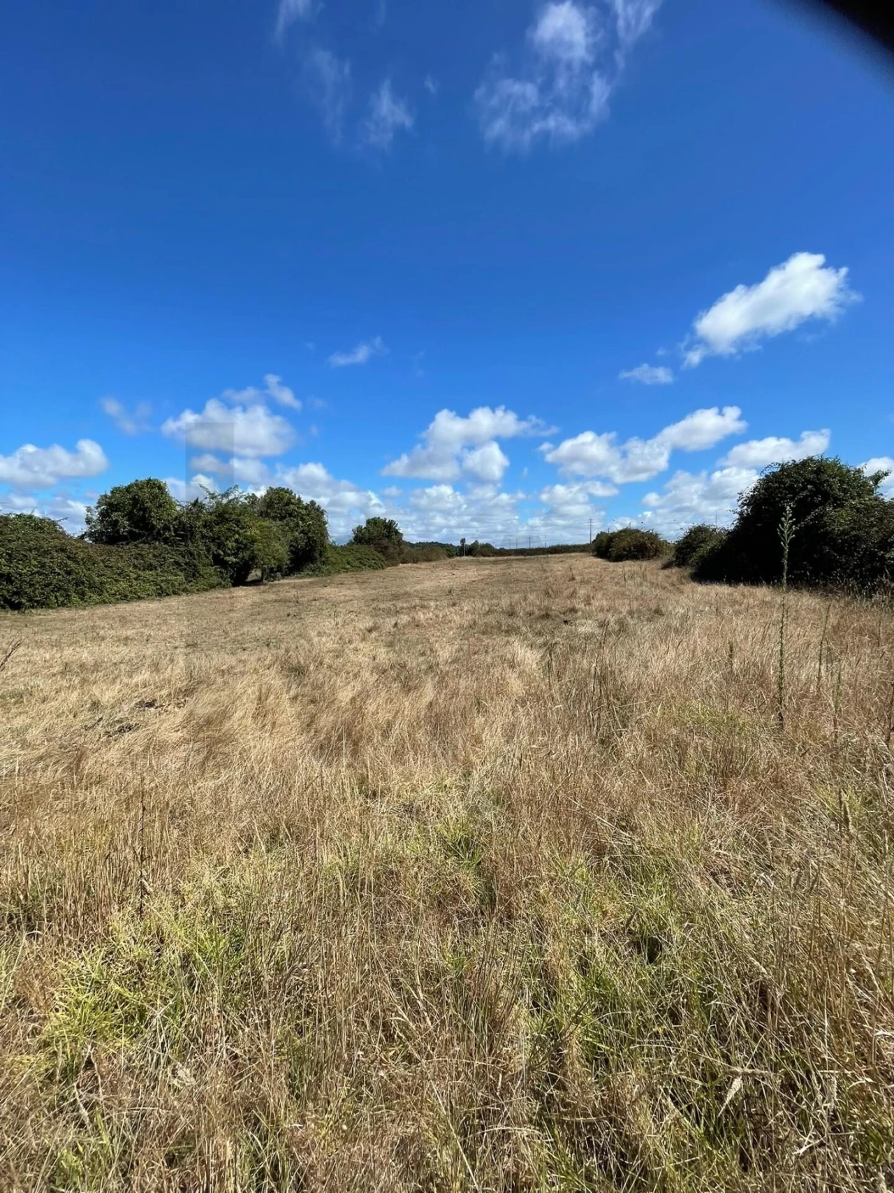 Terreno para Venda em Ílhavo (São Salvador) Foto 7