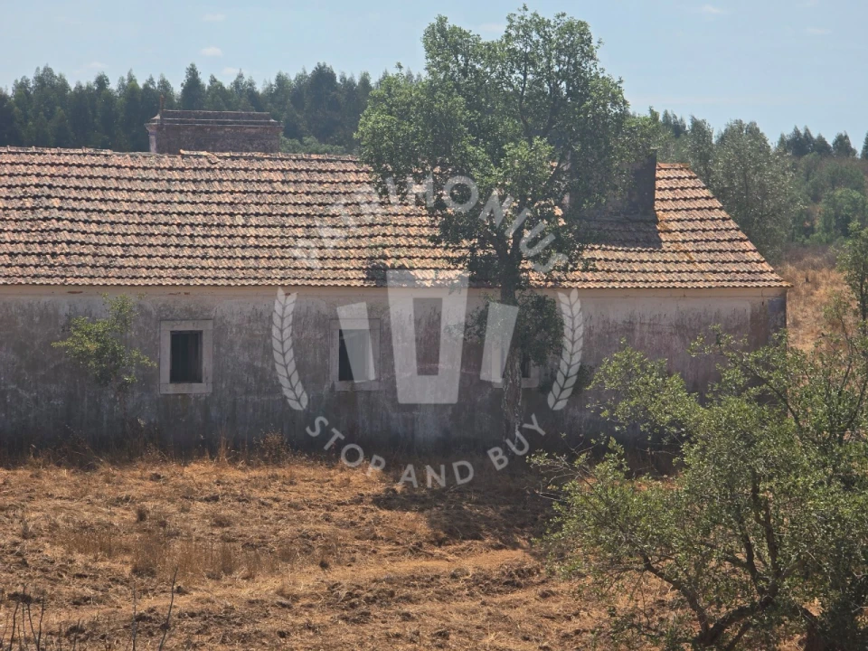 Quinta para Venda em Santiago do Cacém, Santa Cruz e São Bartolomeu da Serra Foto 2