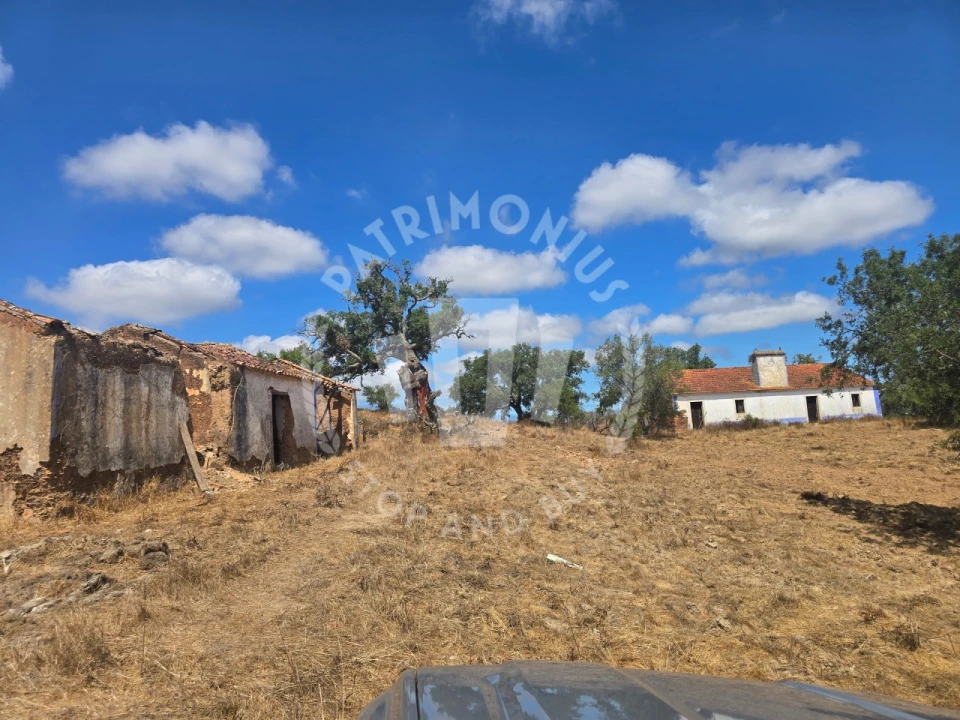 Quinta para Venda em Santiago do Cacém, Santa Cruz e São Bartolomeu da Serra Foto 4