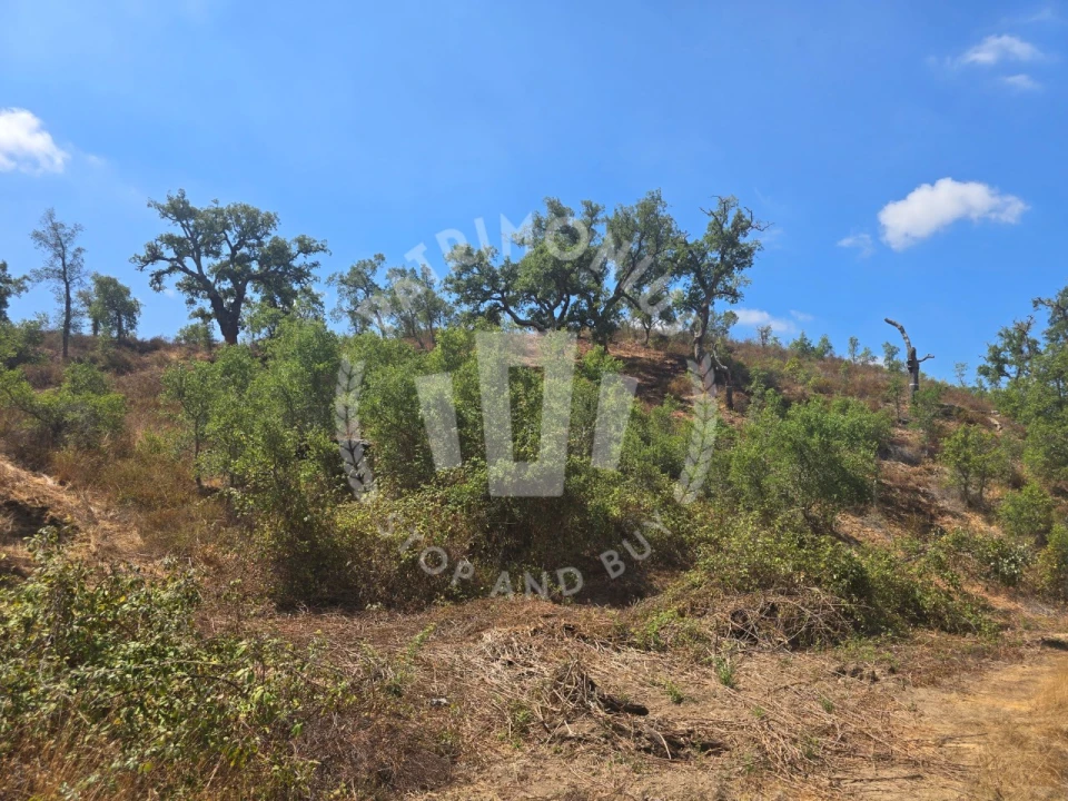 Quinta para Venda em Santiago do Cacém, Santa Cruz e São Bartolomeu da Serra Foto 13