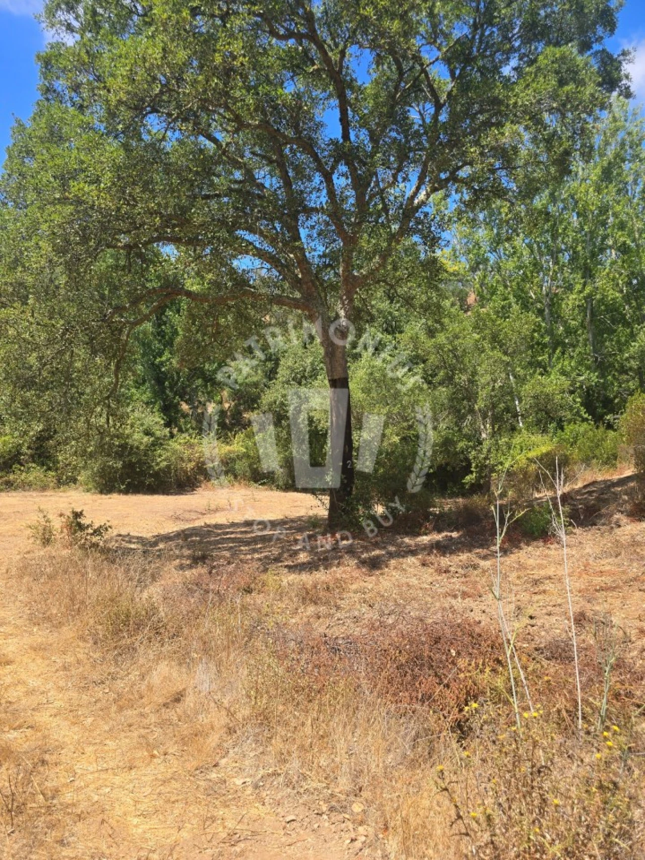 Quinta para Venda em Santiago do Cacém, Santa Cruz e São Bartolomeu da Serra Foto 20