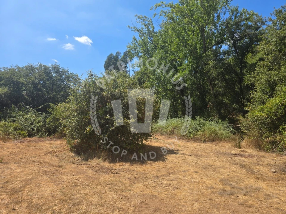 Quinta para Venda em Santiago do Cacém, Santa Cruz e São Bartolomeu da Serra Foto 21