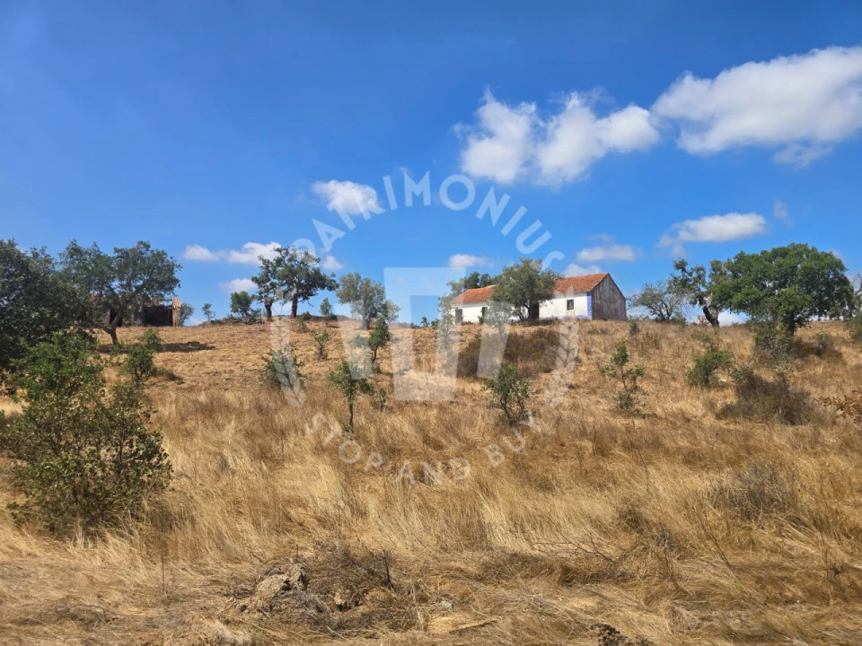 Quinta para Venda em Santiago do Cacém, Santa Cruz e São Bartolomeu da Serra Foto 22