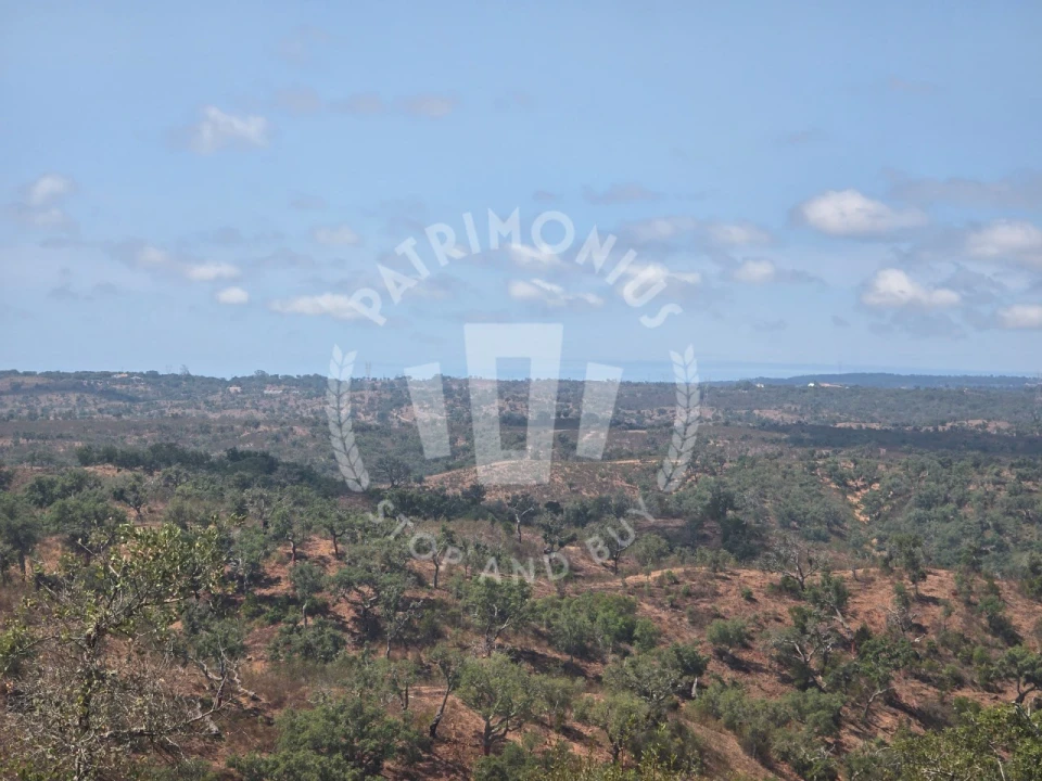 Quinta para Venda em Santiago do Cacém, Santa Cruz e São Bartolomeu da Serra Foto 24