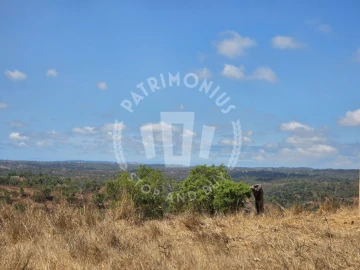 Quinta para Venda em Santiago do Cacém, Santa Cruz e São Bartolomeu da Serra