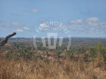 Quinta para Venda em Santiago do Cacém, Santa Cruz e São Bartolomeu da Serra