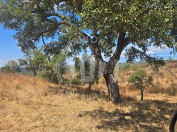 Quinta para Venda em Santiago do Cacém, Santa Cruz e São Bartolomeu da Serra