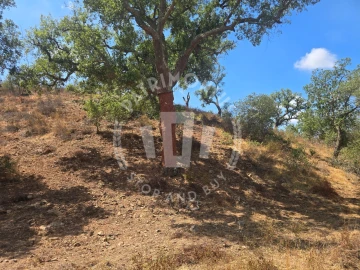 Quinta para Venda em Santiago do Cacém, Santa Cruz e São Bartolomeu da Serra