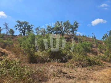 Quinta para Venda em Santiago do Cacém, Santa Cruz e São Bartolomeu da Serra