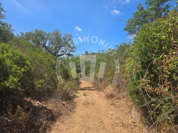 Quinta para Venda em Santiago do Cacém, Santa Cruz e São Bartolomeu da Serra