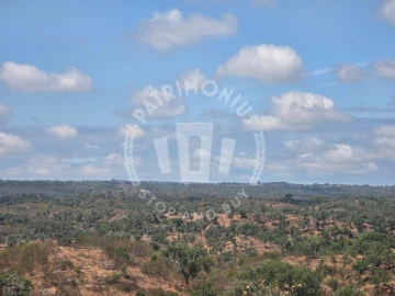 Quinta para Venda em Santiago do Cacém, Santa Cruz e São Bartolomeu da Serra