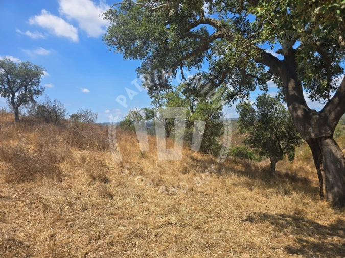 Quinta para Venda em Santiago do Cacém, Santa Cruz e São Bartolomeu da Serra Foto 11
