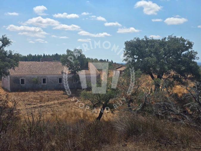 Quinta para Venda em Santiago do Cacém, Santa Cruz e São Bartolomeu da Serra Foto 23