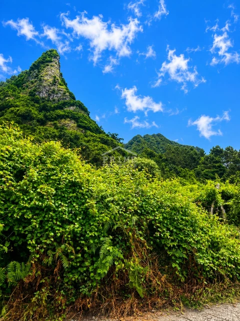 Terreno para Venda em Ponta Delgada