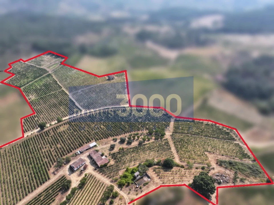 Quinta para Venda em Alijo Foto 7