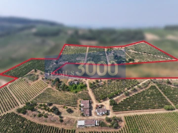 Quinta para Venda em Alijo