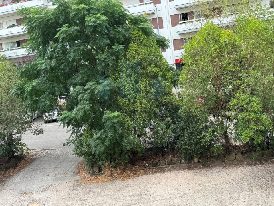 Apartamento T3 para Venda em Santo Antonio dos Olivais Foto 18