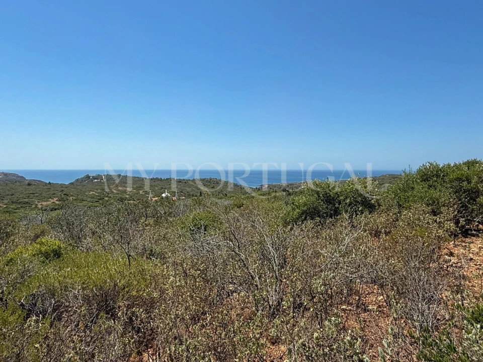 Terreno Agricola ou Rústico para Venda em Vila do Bispo e Raposeira Foto 2
