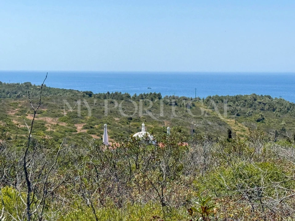 Terreno Agricola ou Rústico para Venda em Vila do Bispo e Raposeira Foto 3