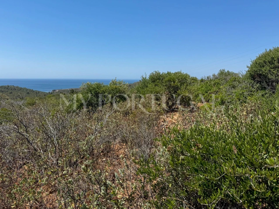 Terreno Agricola ou Rústico para Venda em Vila do Bispo e Raposeira Foto 4
