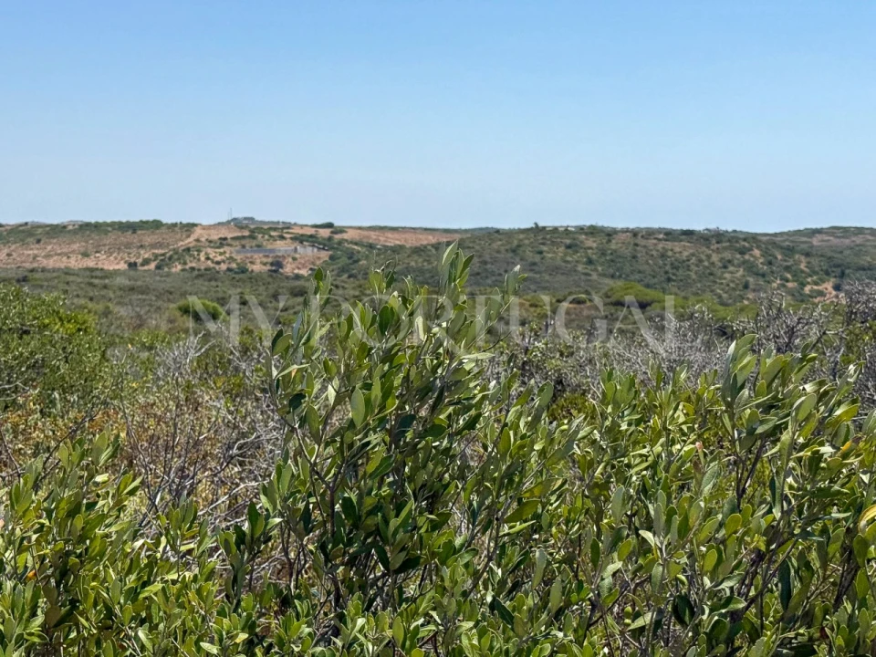 Terreno Agricola ou Rústico para Venda em Vila do Bispo e Raposeira Foto 5
