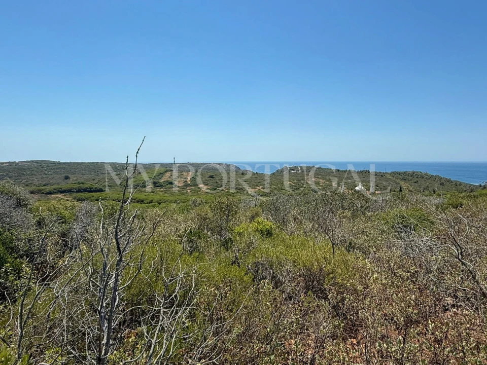 Terreno Agricola ou Rústico para Venda em Vila do Bispo e Raposeira Foto 6