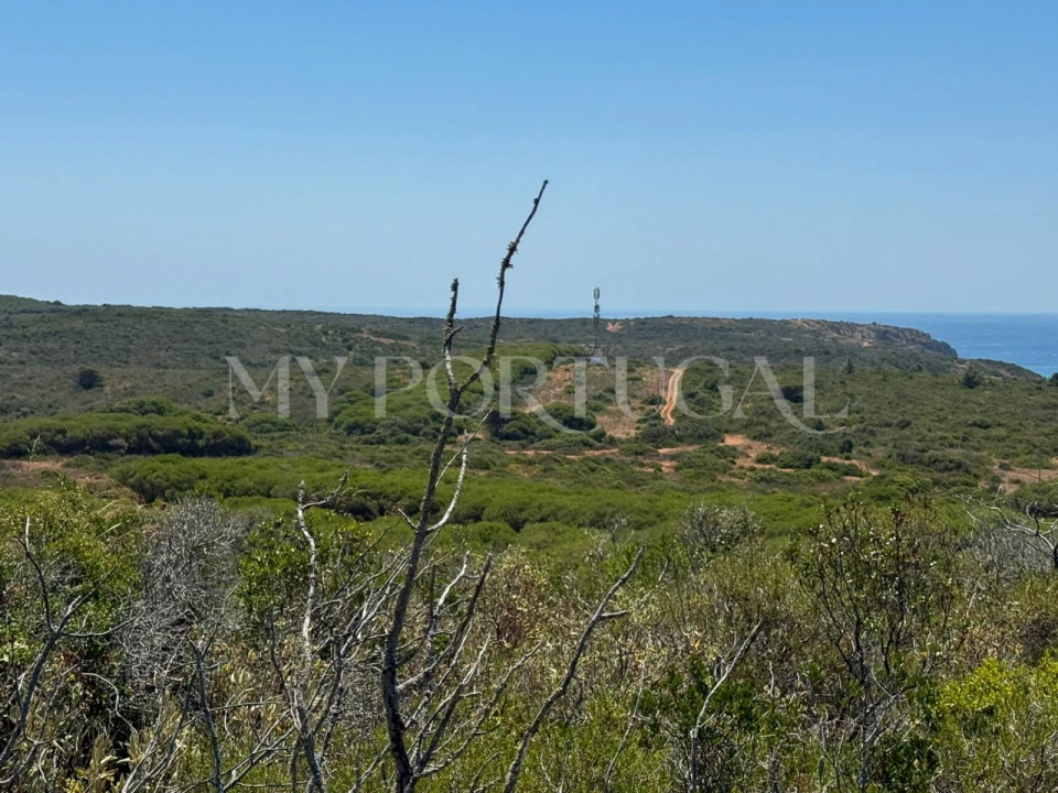 Terreno Agricola ou Rústico para Venda em Vila do Bispo e Raposeira Foto 8