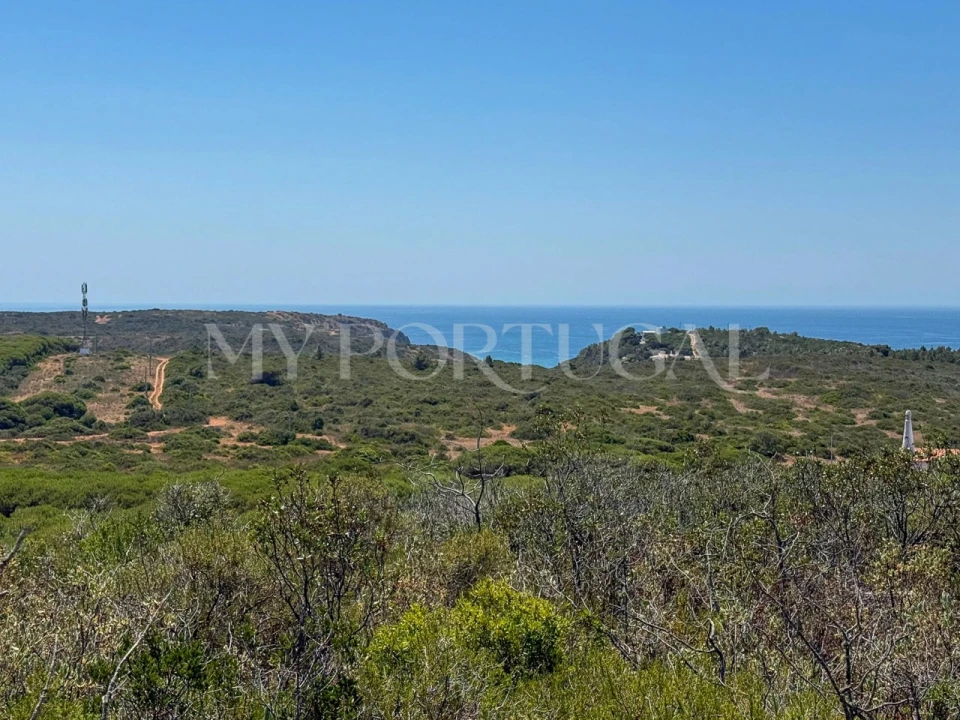 Terreno Agricola ou Rústico para Venda em Vila do Bispo e Raposeira Foto 9