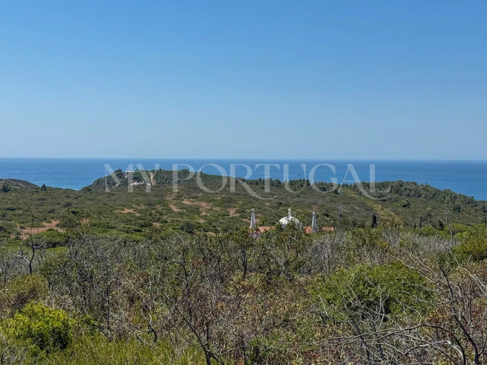 Terreno Agricola ou Rústico para Venda em Vila do Bispo e Raposeira Foto 10