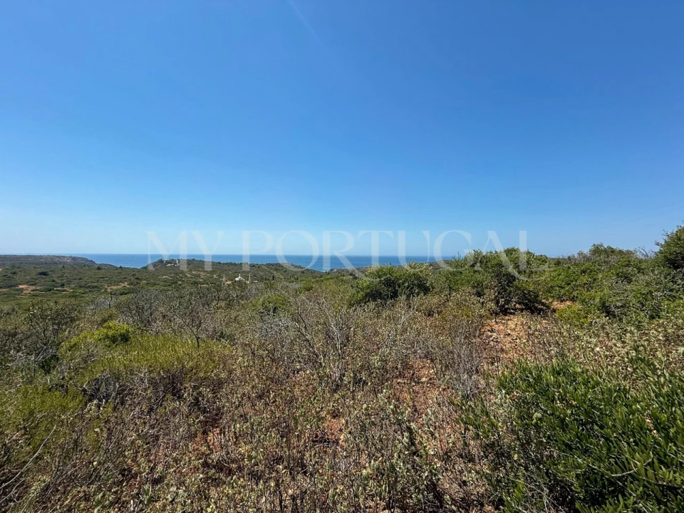 Terreno Agricola ou Rústico para Venda em Vila do Bispo e Raposeira Foto 11