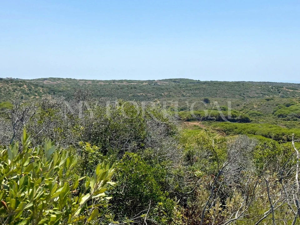 Terreno Agricola ou Rústico para Venda em Vila do Bispo e Raposeira Foto 12
