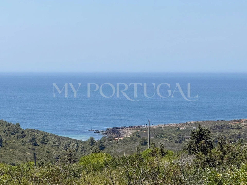 Terreno Agricola ou Rústico para Venda em Vila do Bispo e Raposeira Foto 1