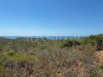 Terreno Agricola ou Rústico para Venda em Vila do Bispo e Raposeira