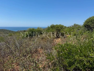 Terreno Agricola ou Rústico para Venda em Vila do Bispo e Raposeira