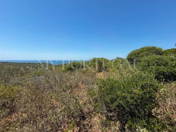 Terreno Agricola ou Rústico para Venda em Vila do Bispo e Raposeira