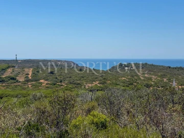 Terreno Agricola ou Rústico para Venda em Vila do Bispo e Raposeira