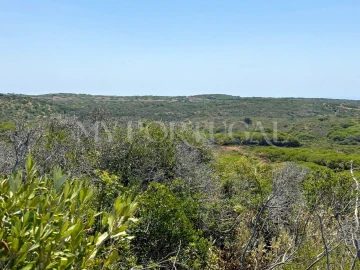 Terreno Agricola ou Rústico para Venda em Vila do Bispo e Raposeira