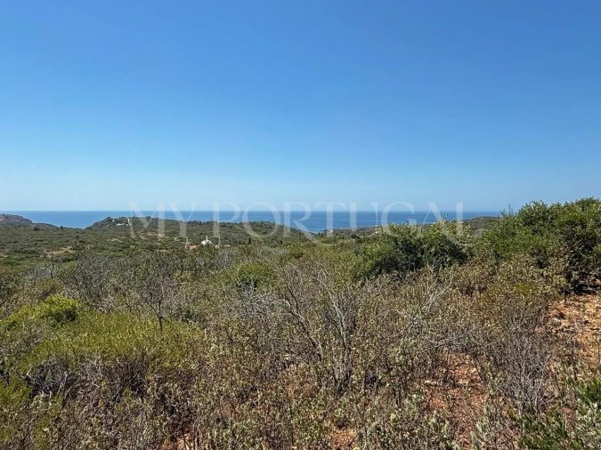 Terreno Agricola ou Rústico para Venda em Vila do Bispo e Raposeira Foto 2