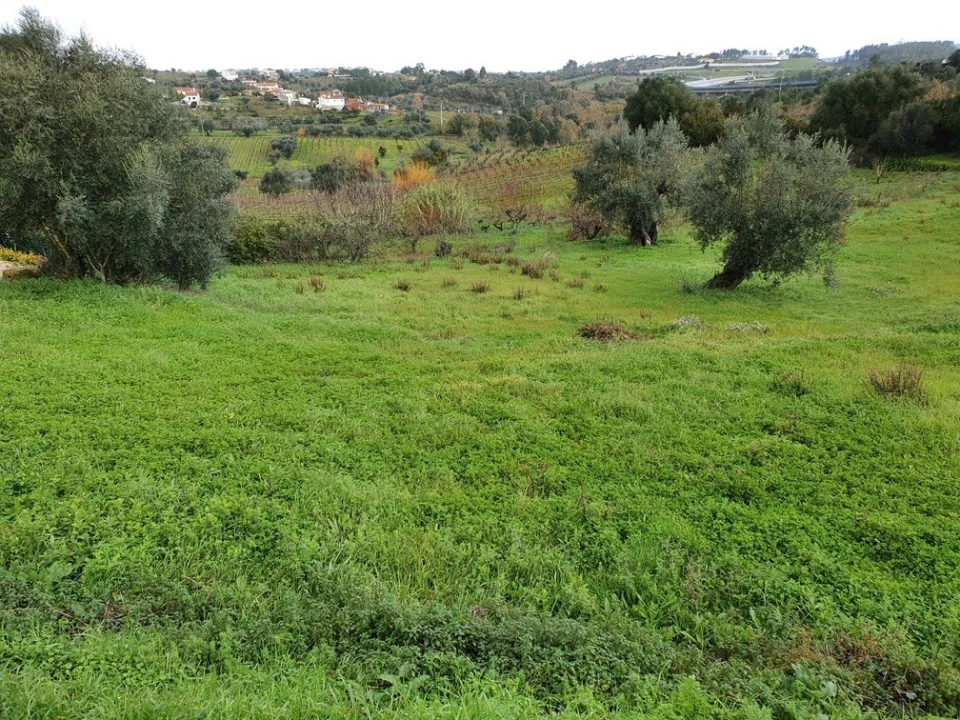 Moradia T4 para Venda em Almalagues Foto 75