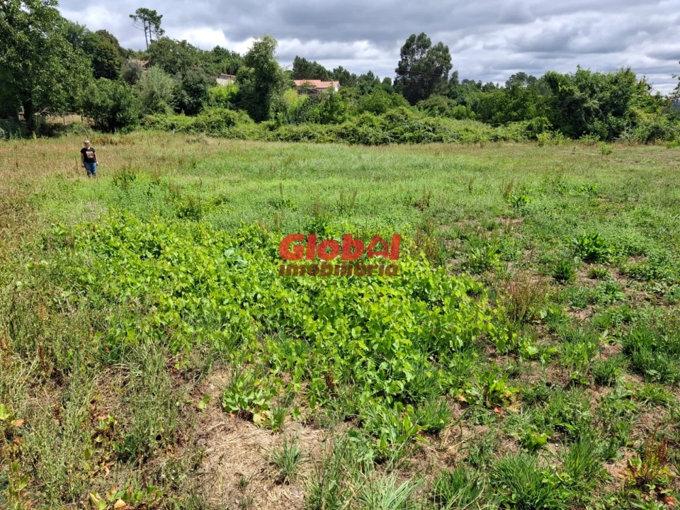 Moradia T0 para Venda em Rio de Loba Foto 9