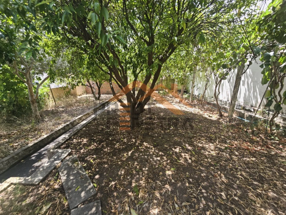 Moradia T3 para Venda em Bombarral e Vale Covo Foto 38