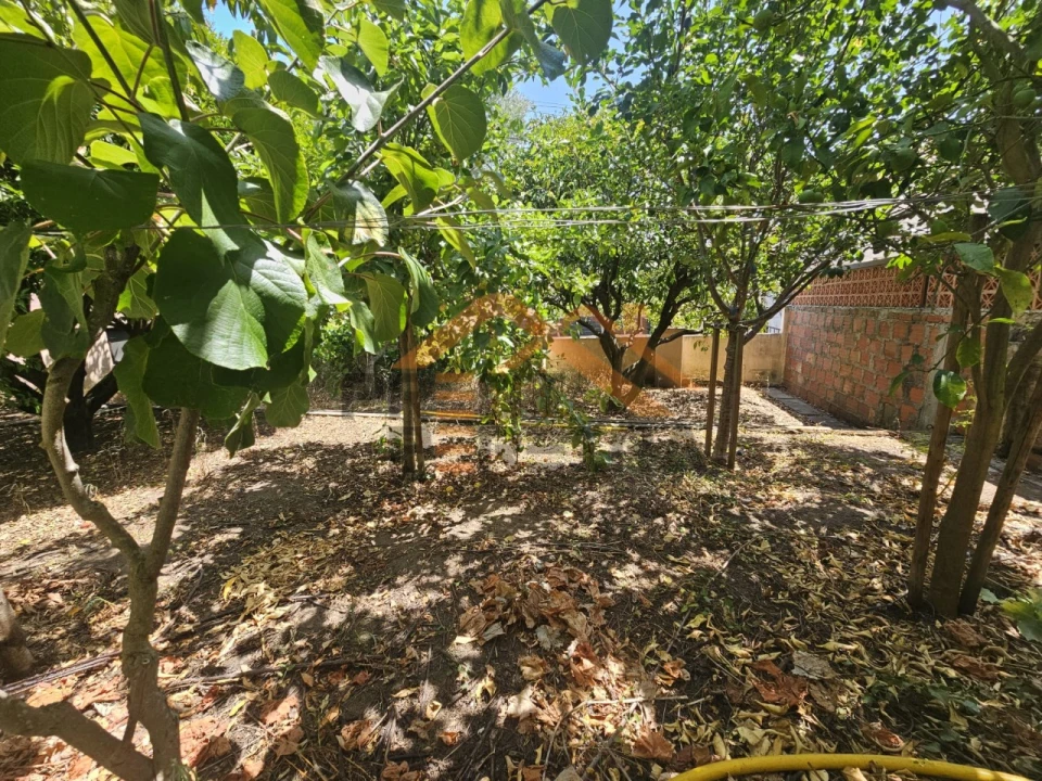 Moradia T3 para Venda em Bombarral e Vale Covo Foto 41
