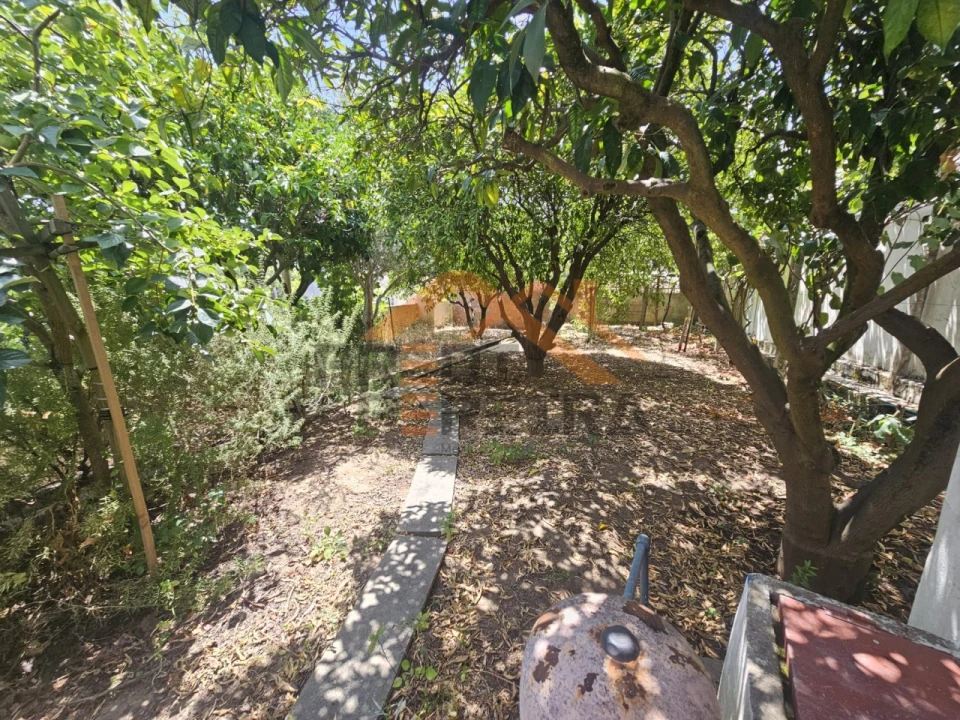 Moradia T3 para Venda em Bombarral e Vale Covo Foto 45
