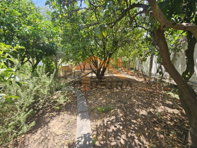 Moradia T3 para Venda em Bombarral e Vale Covo Foto 39